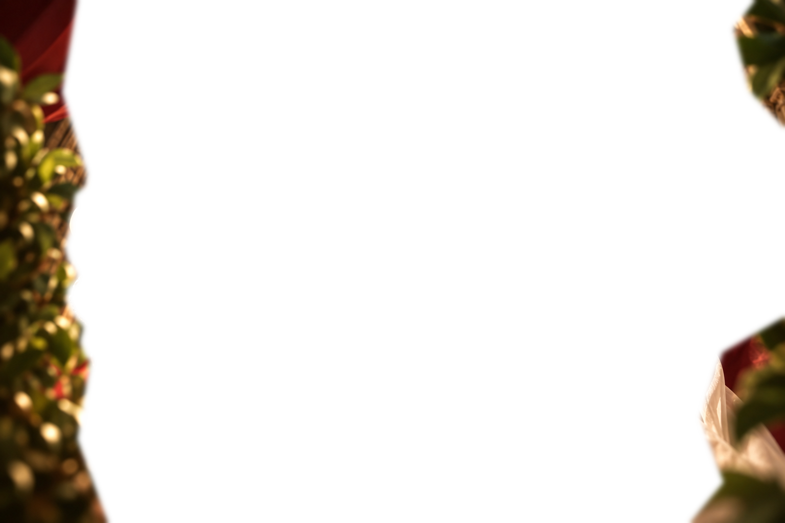 Foliage frame
