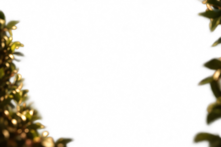 Grass